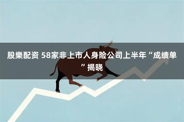 股樂配资 58家非上市人身险公司上半年“成绩单”揭晓