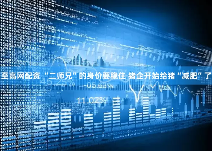 至高网配资 “二师兄”的身价要稳住 猪企开始给猪“减肥”了