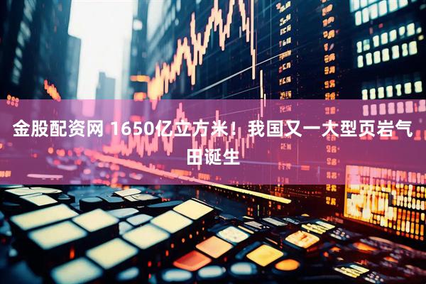 金股配资网 1650亿立方米！我国又一大型页岩气田诞生