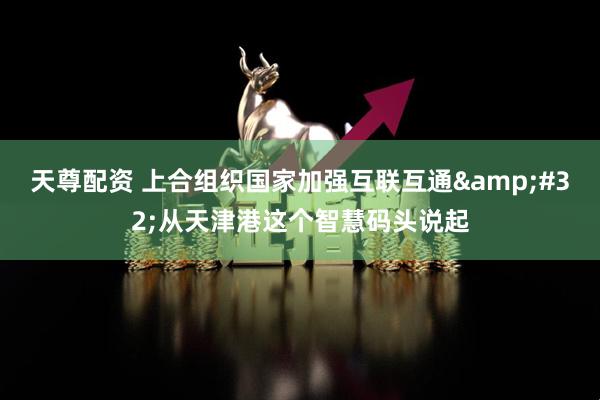 天尊配资 上合组织国家加强互联互通&#32;从天津港这个智慧码头说起