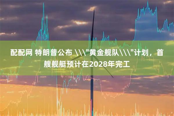 配配网 特朗普公布 \＂黄金舰队\＂计划，首艘舰艇预计在2028年完工